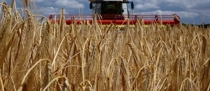 Vendas externas do agronegócio registram recorde em agosto