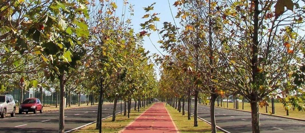 Segunda-feira (6) terá calor e tempo firme em Maringá; máxima chega aos 35º C