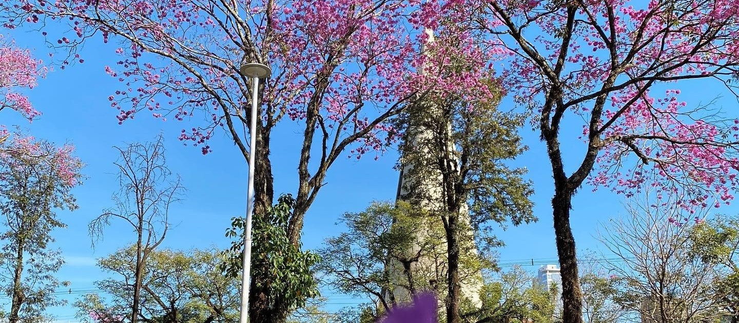 Terça-feira ensolarada e com altas temperaturas em Maringá, indica Simepar