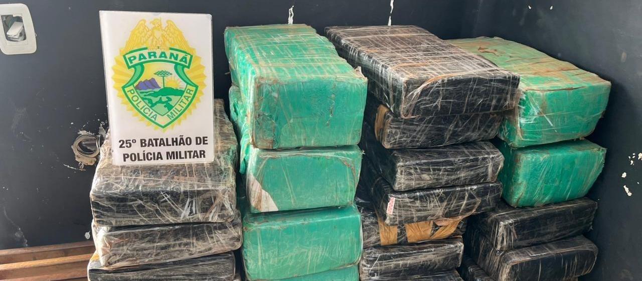 Polícia apreende 211 kg de maconha em área rural