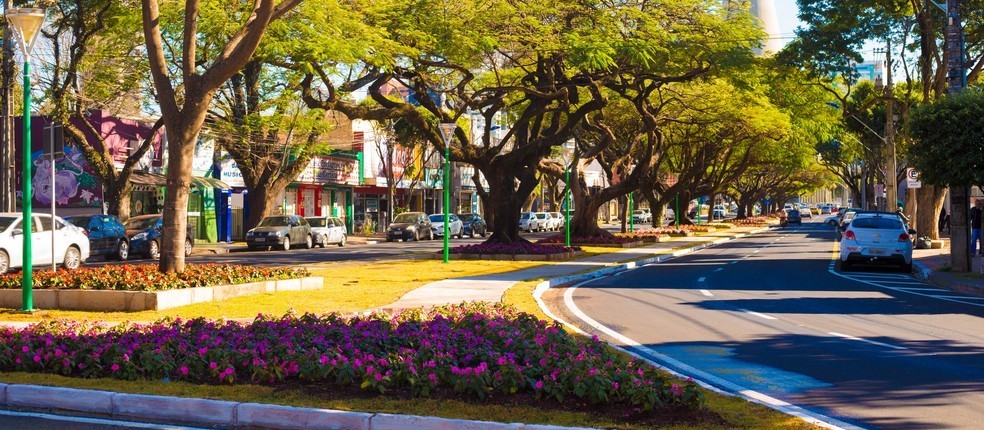 Prefeitura de Maringá publica novo decreto e flexibiliza atividades