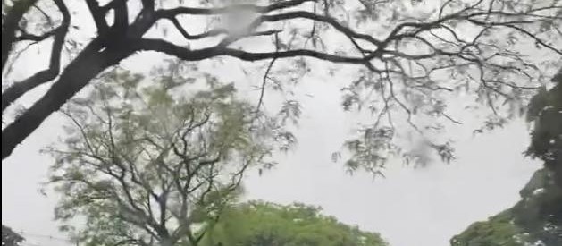 Feriado será marcado pela chuva em Maringá