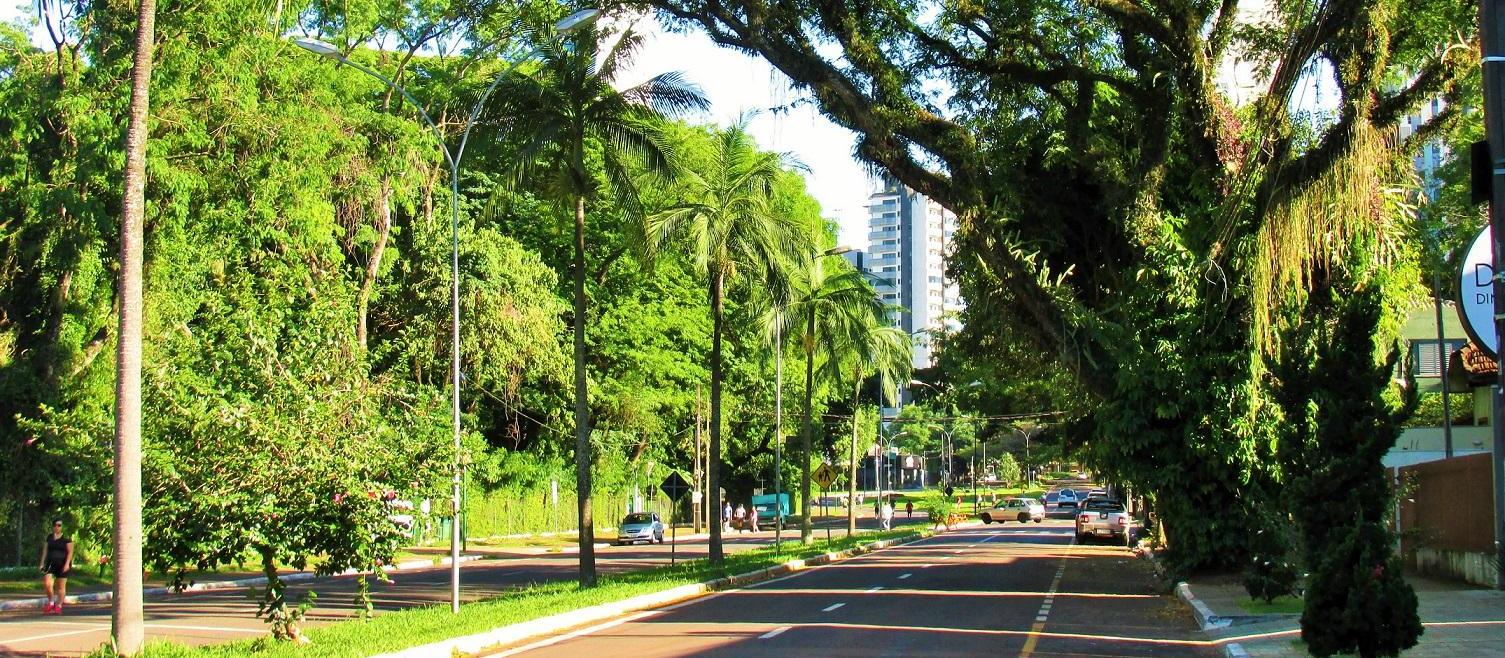Tempo segue firme e ensolarado em Maringá nesta quinta-feira (15)