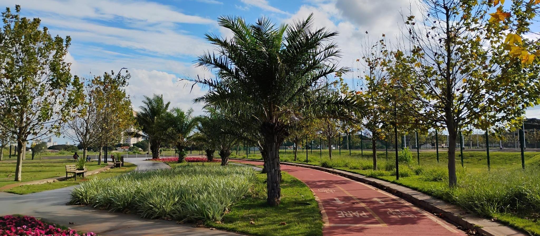 Sem chance de chuva, quinta-feira (3) será de sol entre nuvens em Maringá