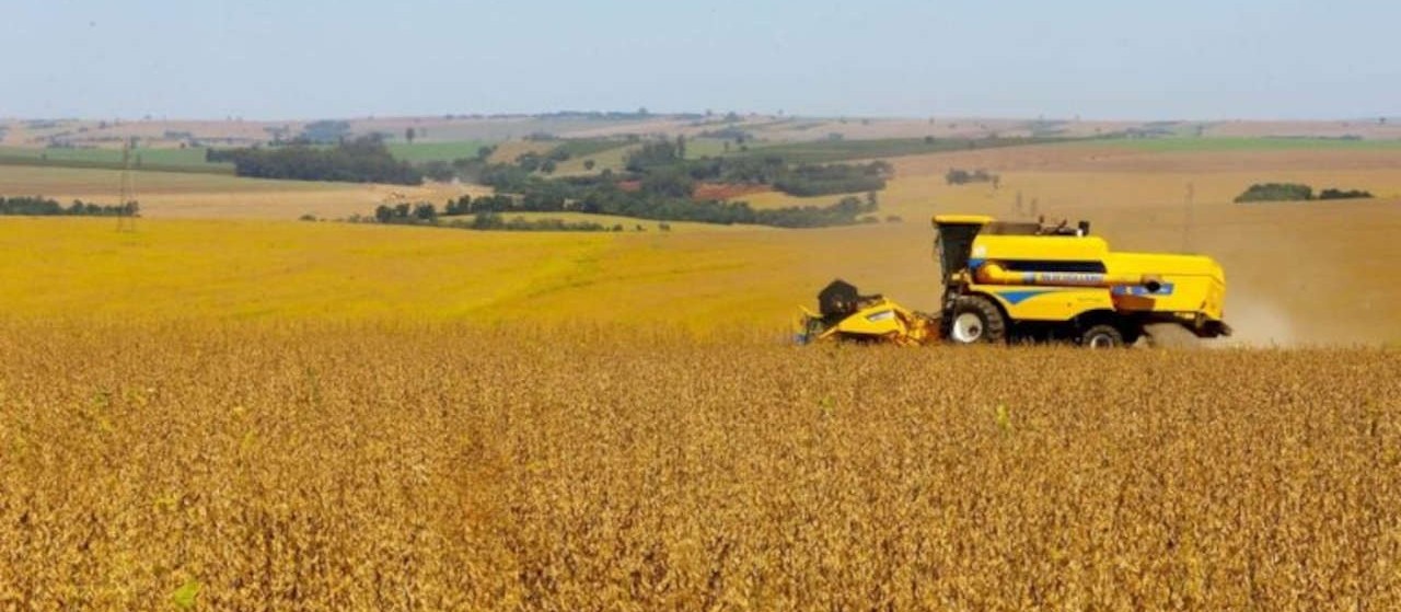 Agricultura estima VBP da Agropecuária em R$ 1,1 trilhão
