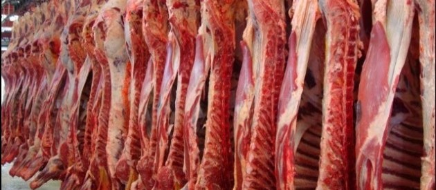 Embarques brasileiros de carne bovina seguem recordes