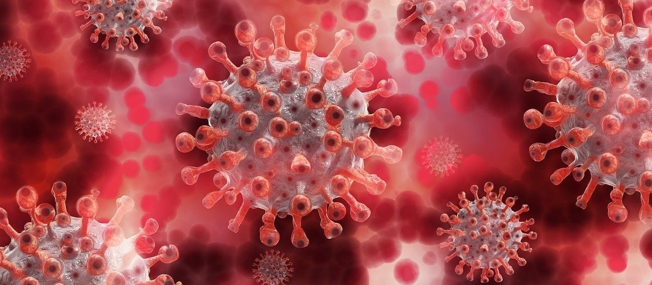 Coronavírus: Confira o boletim com os dados deste domingo (31) em Maringá