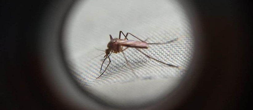 Itambé e Moreira Sales estão em alerta de epidemia de dengue