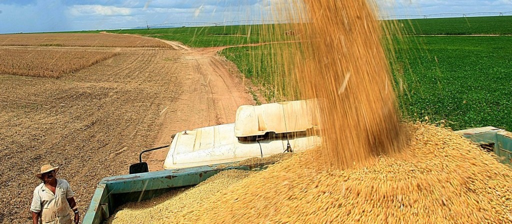 Produção paranaense de grãos deve chegar a 37,1 milhões de toneladas