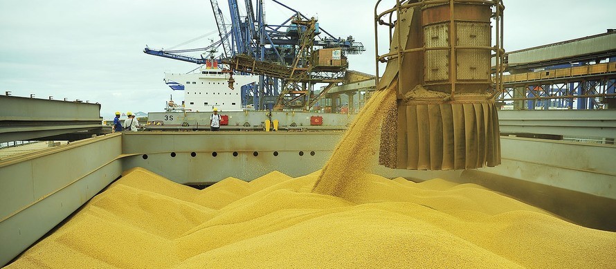 Brasil está mais próximo dos EUA na liderança de produção de soja