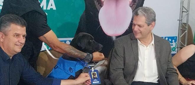 Bem-Estar Animal cria novos cargos para cães servidores