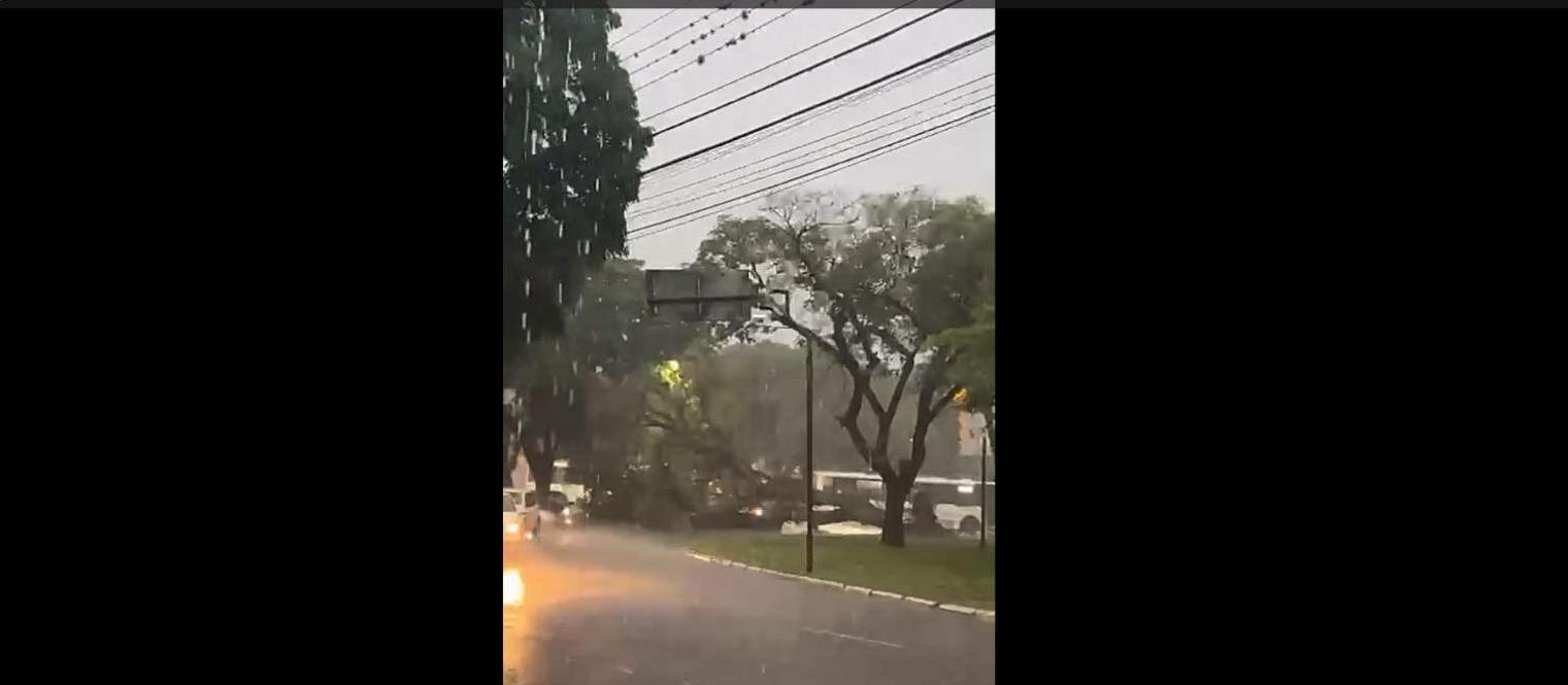 Chuva intensa derruba árvores e alaga UBS e vias públicas