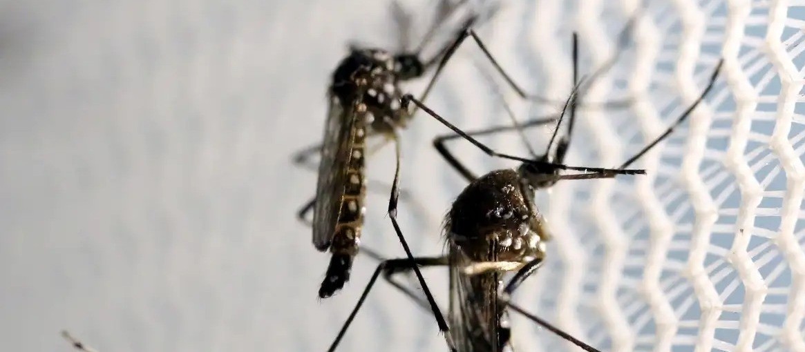 Primeiras duas mortes por dengue são confirmadas em Umuarama