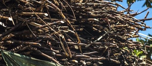 Processamento da cana-de-açúcar safra 2017/18 entra na reta final no Paraná