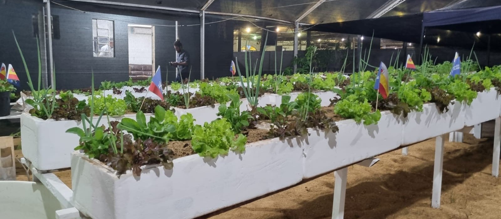 No Agromuseu é possível aprender a ter uma horta em casa