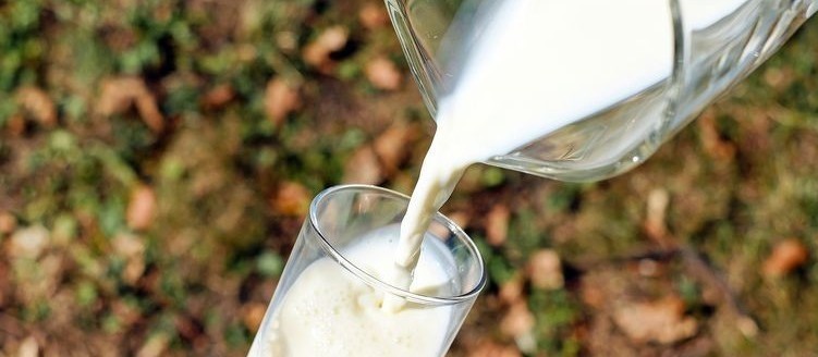 Preço do leite pago aos produtores em junho registrou aumento de 4,6% frente ao mês anterior