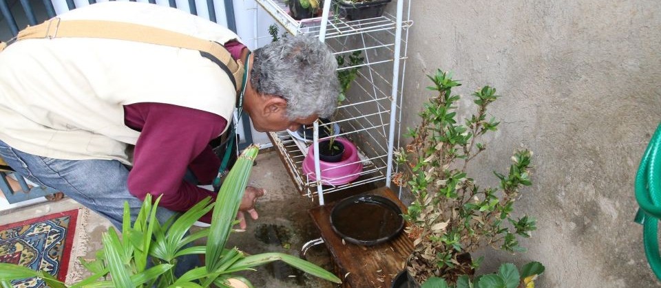 Maringá confirma 32 casos de dengue em uma semana