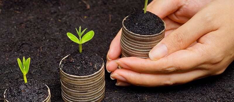 Como usar a tributação para promover a economia verde?
