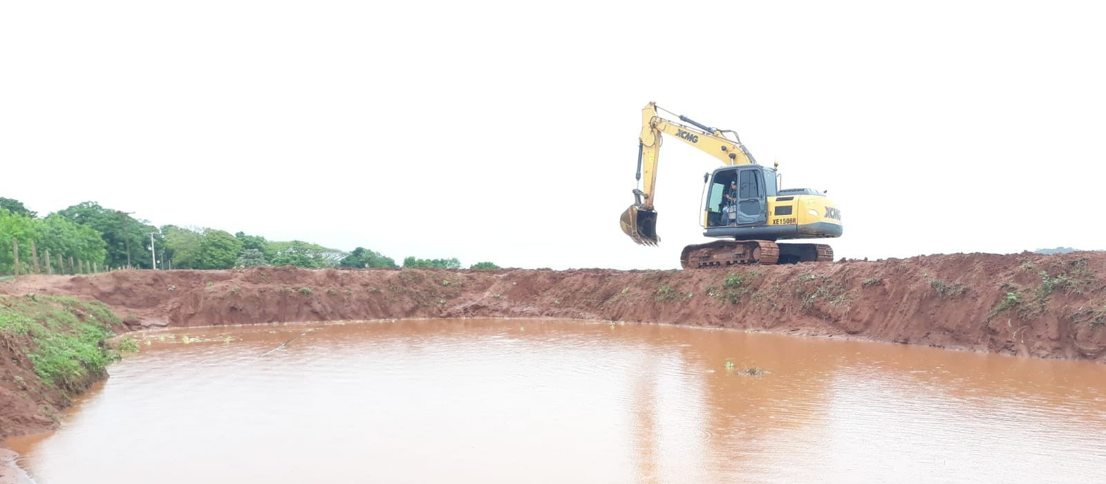 Vegetação flutuante foi retirada de caixa de contenção de água em Paranavaí para retirada de jacaré