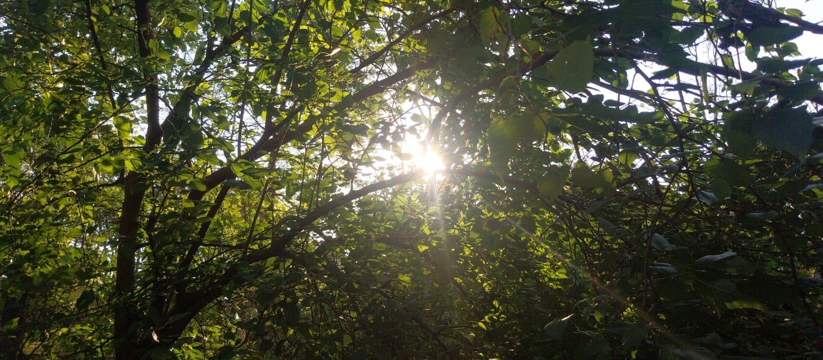 Confira a previsão do tempo para este domingo (5) em Maringá