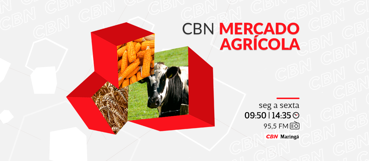 Trigo custa na média R$ 73,75 a saca de 60 kg
