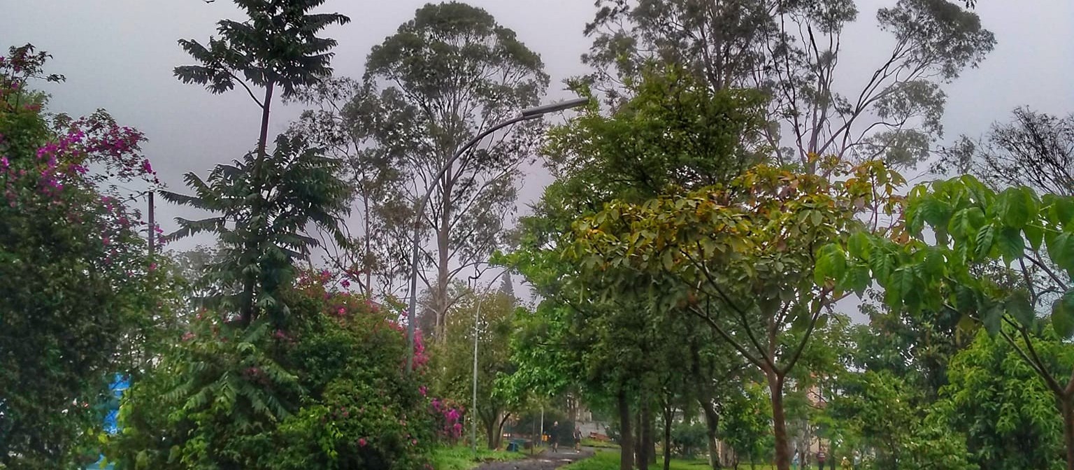 Em Maringá, semana começa com previsão de chuva e temperaturas amenas 