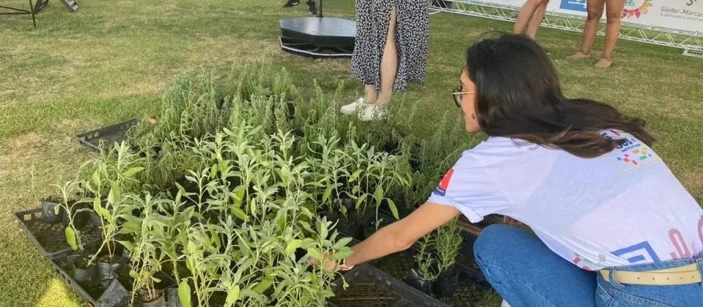 Arena Sustentável começa nessa sexta-feira (7) e vai até domingo (9)