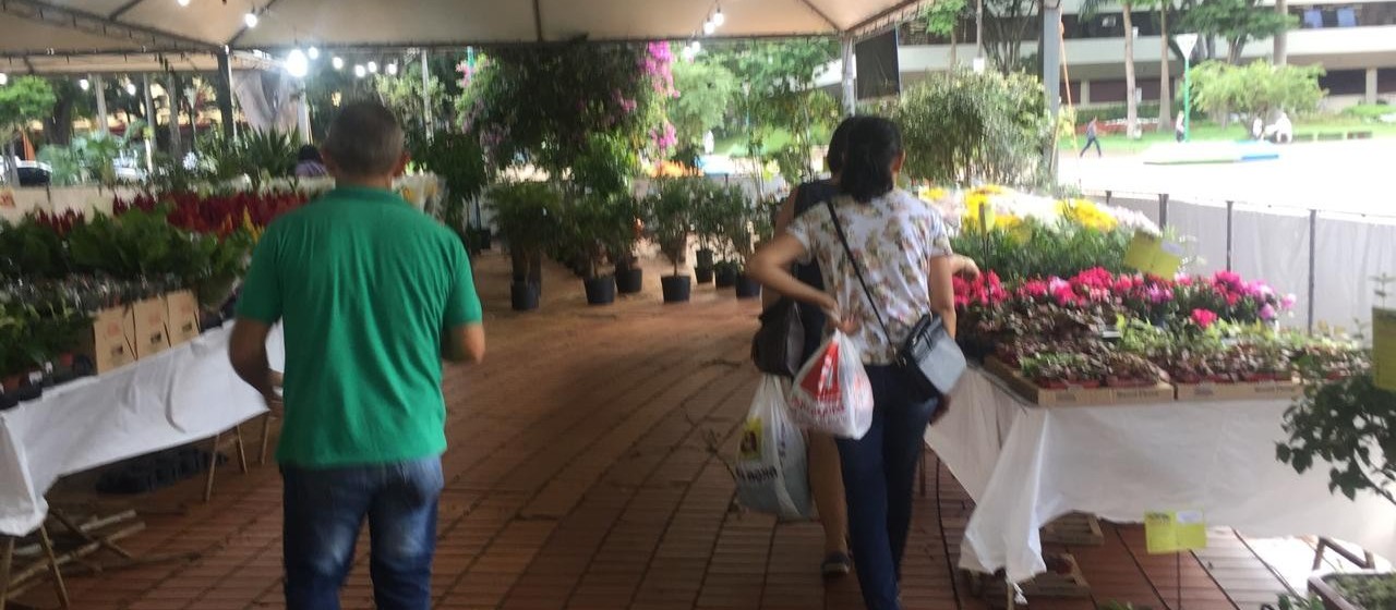 Maringaenses ganham mais uma feira de flores e plantas