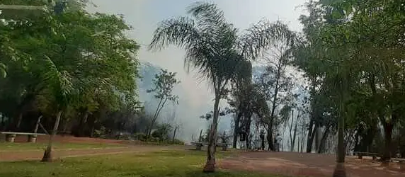 Incêndio atinge reserva florestal do Parque das Palmeiras em Maringá