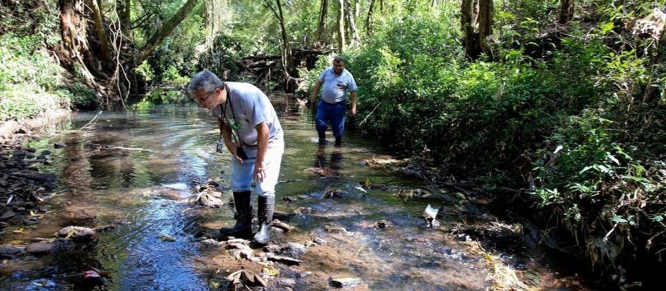 Fiscalização encontra córregos poluídos em Maringá