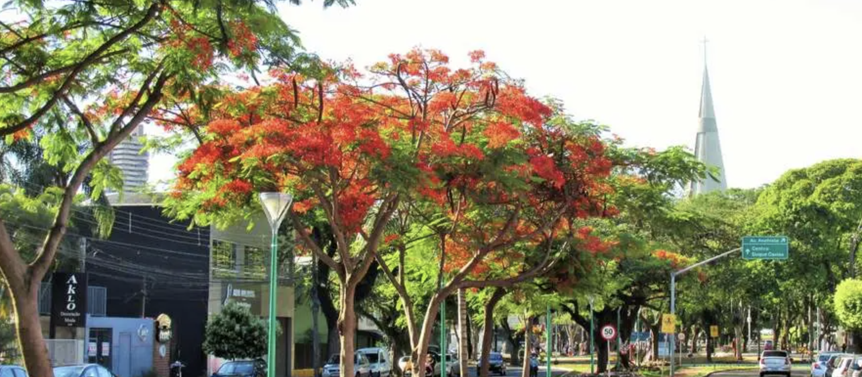 Verão começa com calor e instabilidade no Paraná