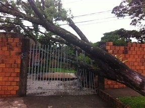 Chuva causa estragos em Maringá