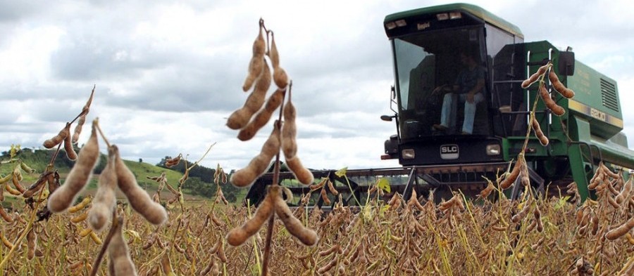 Produção de soja no Brasil tem potencial para atingir recorde