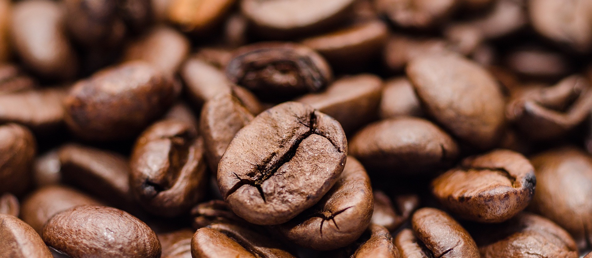 Brasil exporta 4,1 milhões de sacas de café e bate novo recorde histórico para o mês de outubro