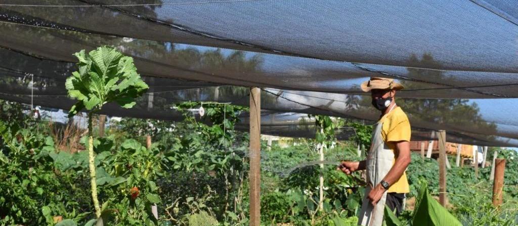 Maringá faz chamamento público para implantação de internet nas hortas comunitárias