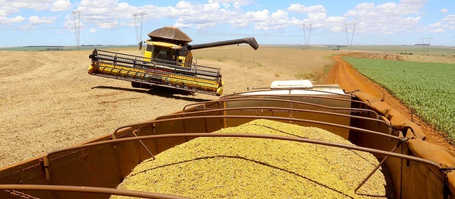 Safra de grãos de verão 2021/22 deve crescer 9% no Paraná