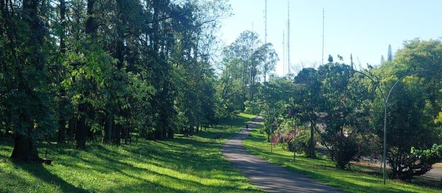 Confira a previsão do tempo para este sábado (25) em Maringá