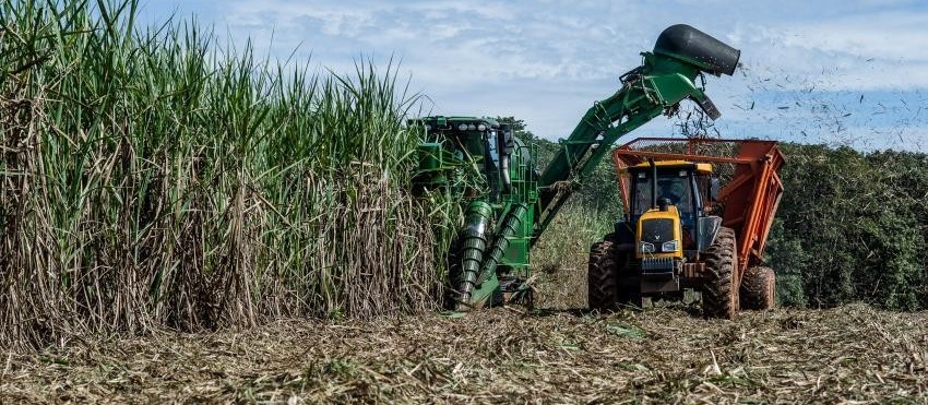 Paraná deverá ter menor produção de cana-de-açúcar na próxima safra