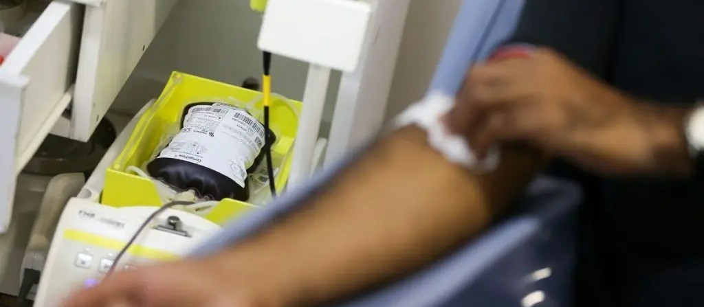 Dia Mundial do Doador de Sangue: o que você precisa saber para doar