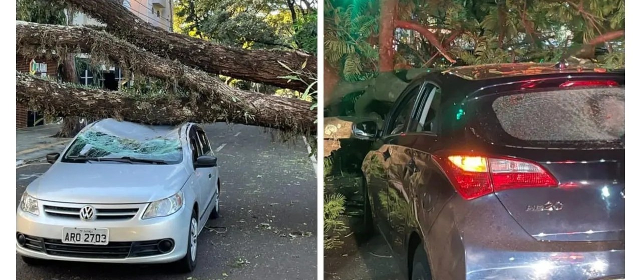 Árvores caem em cima de carros em movimento e assustam motoristas em Maringá