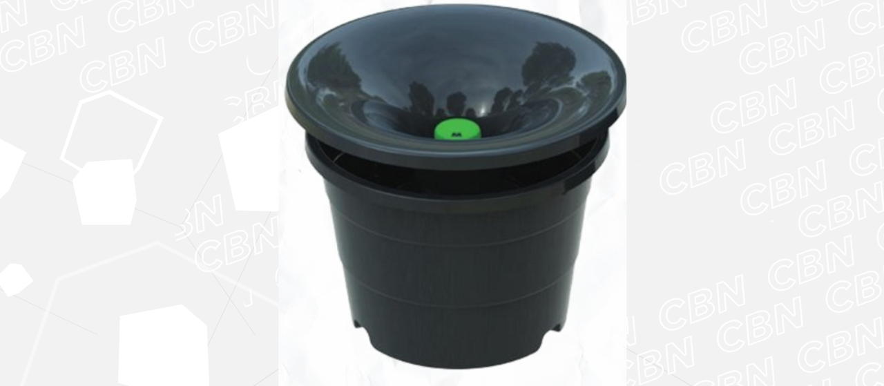 Saúde irá instalar armadilhas para Aedes aegypti em escolas e Cmeis