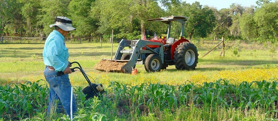 Dia do Agricultor: Agronegócio brasileiro se destaca nos pilares da economia nacional