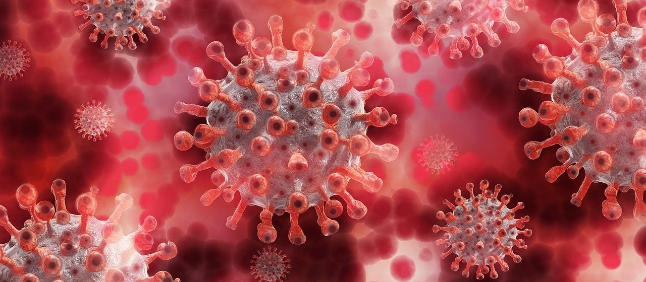 Coronavírus: Confira o boletim com os dados deste domingo (17) em Maringá