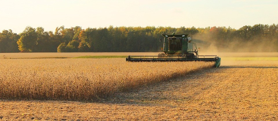 Colheita da soja começa na região noroeste do estado