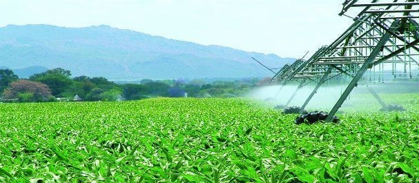 Mercado de fertilizantes segue aquecido 