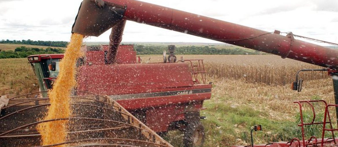 Safra brasileira de grãos deve somar 268,2 mi de toneladas