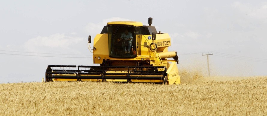 Safra de grãos no Paraná deve atingir 37 milhões de toneladas