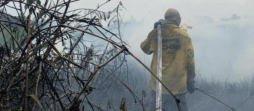 Mais de mil hectares são destruídos pelo fogo em Ilha Grande