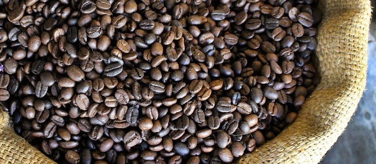 Café em coco custa R$ 6,85 kg em Maringá