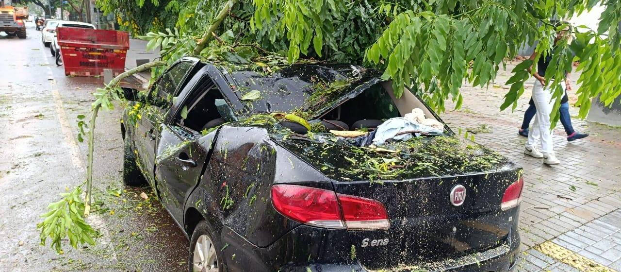 Chuva provoca queda de árvores e alagamentos em Maringá